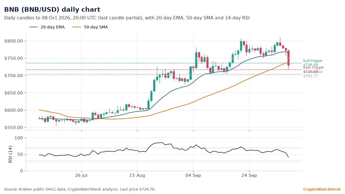 BNB daily candlestick chart with 20-day EMA, 50-day SMA and RSI